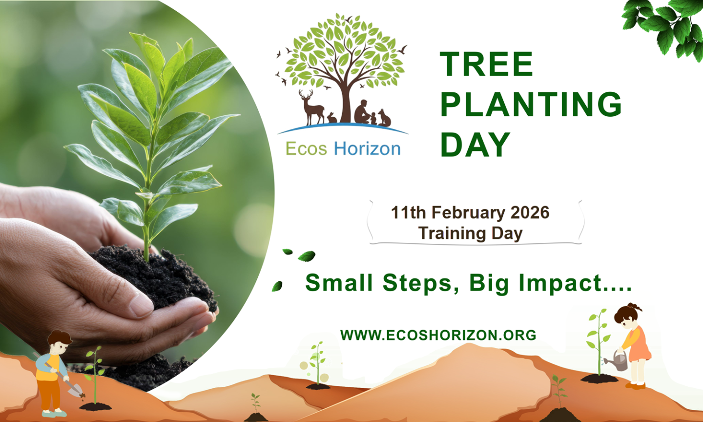 Ecos Horizon Event Details